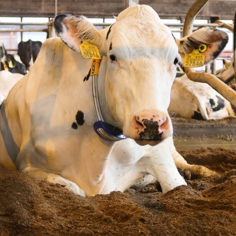 488655164_1139314411542124_6227044762470242504_n