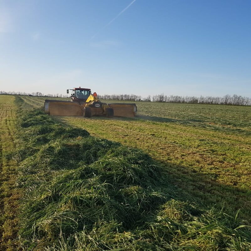 93259530_1826043857526780_5867631672362532864_n