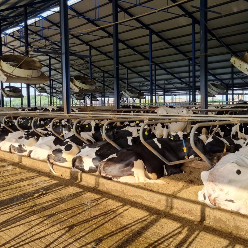 291307252_2527004080764084_3729169576058897646_n