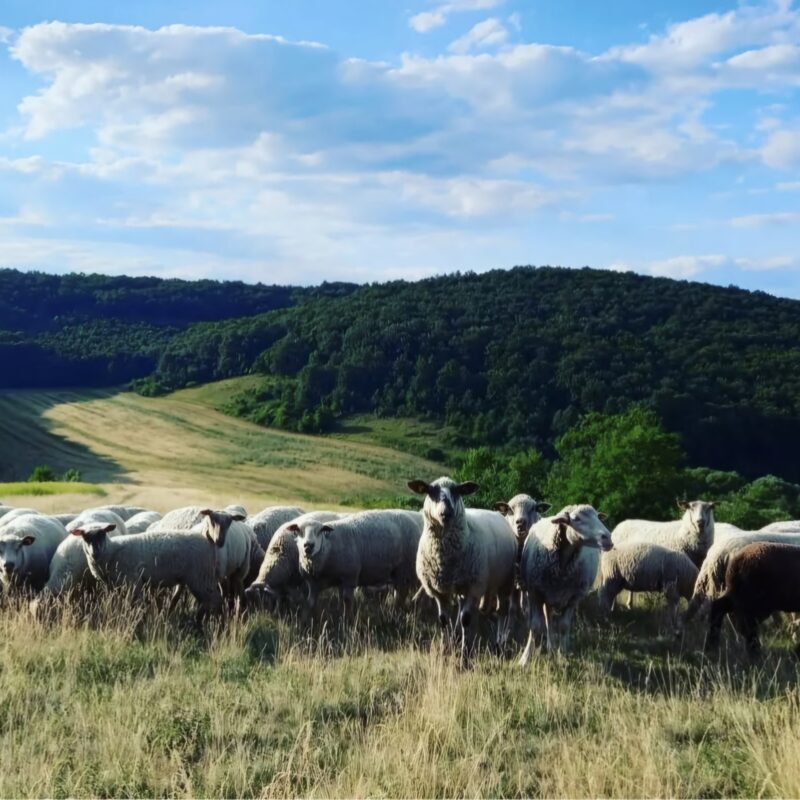 Screenshot_20250112_194914_Instagram