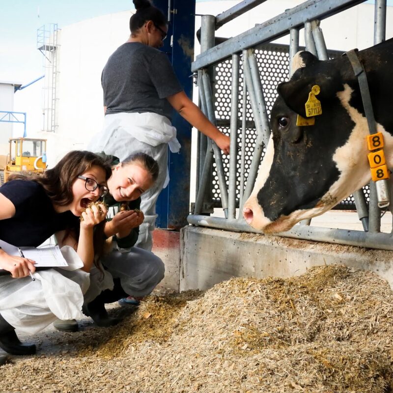 WhatsApp Image 2026-04-03 at 07.33.10