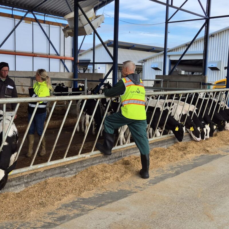 WhatsApp Image 2026-04-07 at 17.09.10 (1)