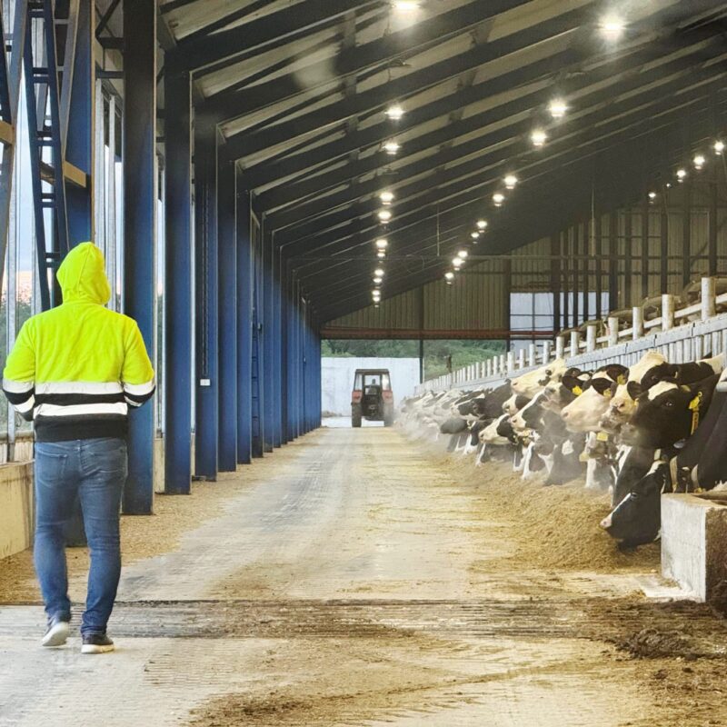 WhatsApp Image 2026-04-07 at 17.09.10 (3)