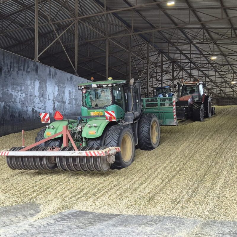 WhatsApp Image 2026-04-07 at 17.09.10 (4)