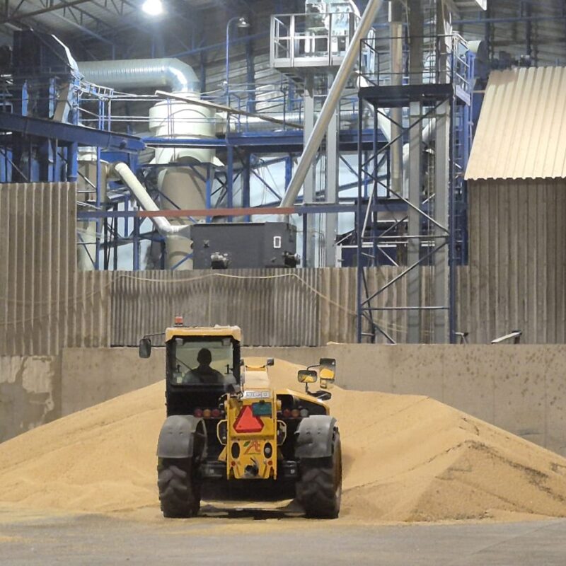 WhatsApp Image 2026-04-07 at 17.09.11 (3)