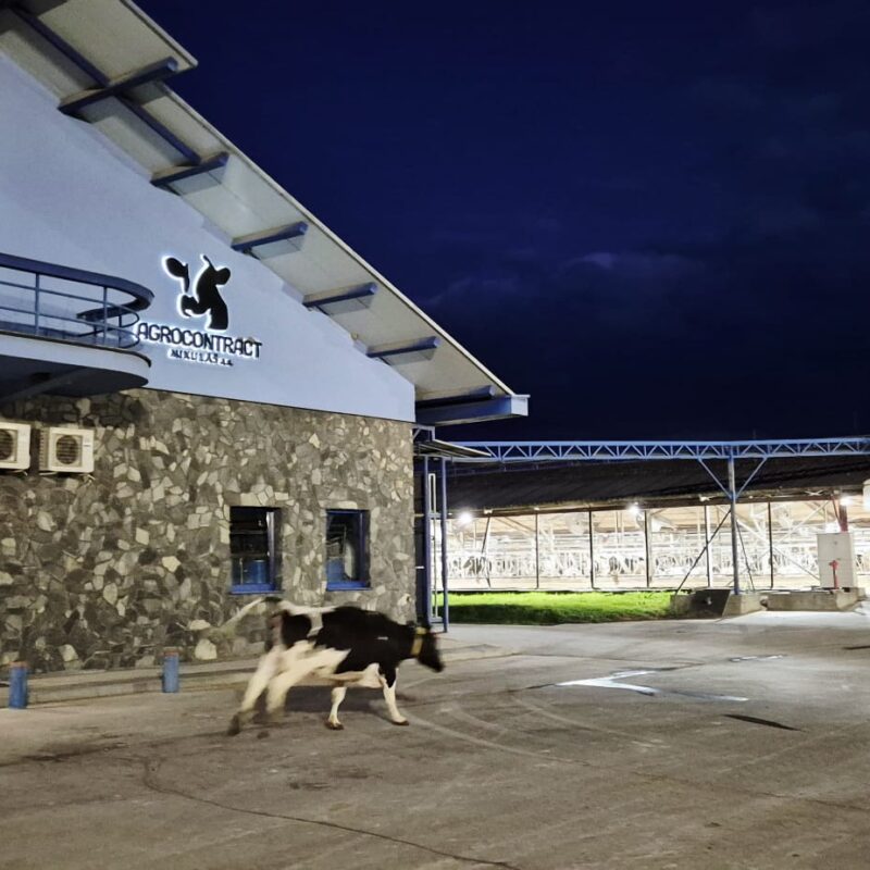 WhatsApp Image 2026-04-07 at 17.09.11