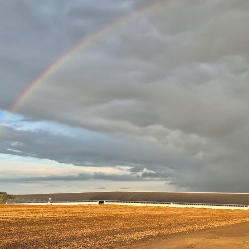 WhatsApp Image 2026-04-07 at 17.09.12 (1)