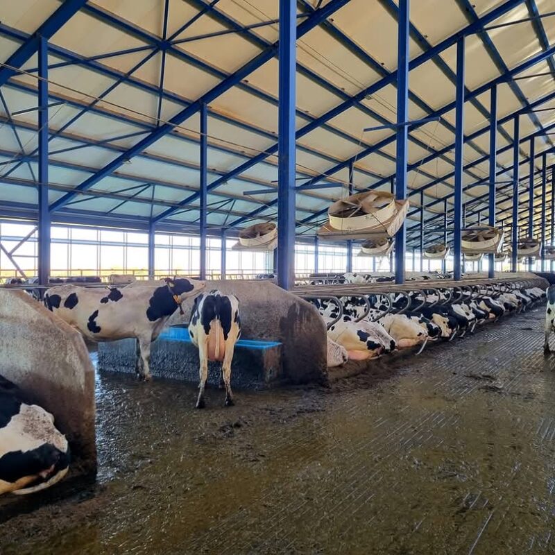 WhatsApp Image 2026-04-07 at 17.09.12 (2)