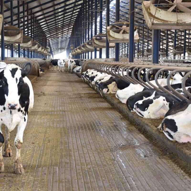 WhatsApp Image 2026-04-07 at 22.12.09