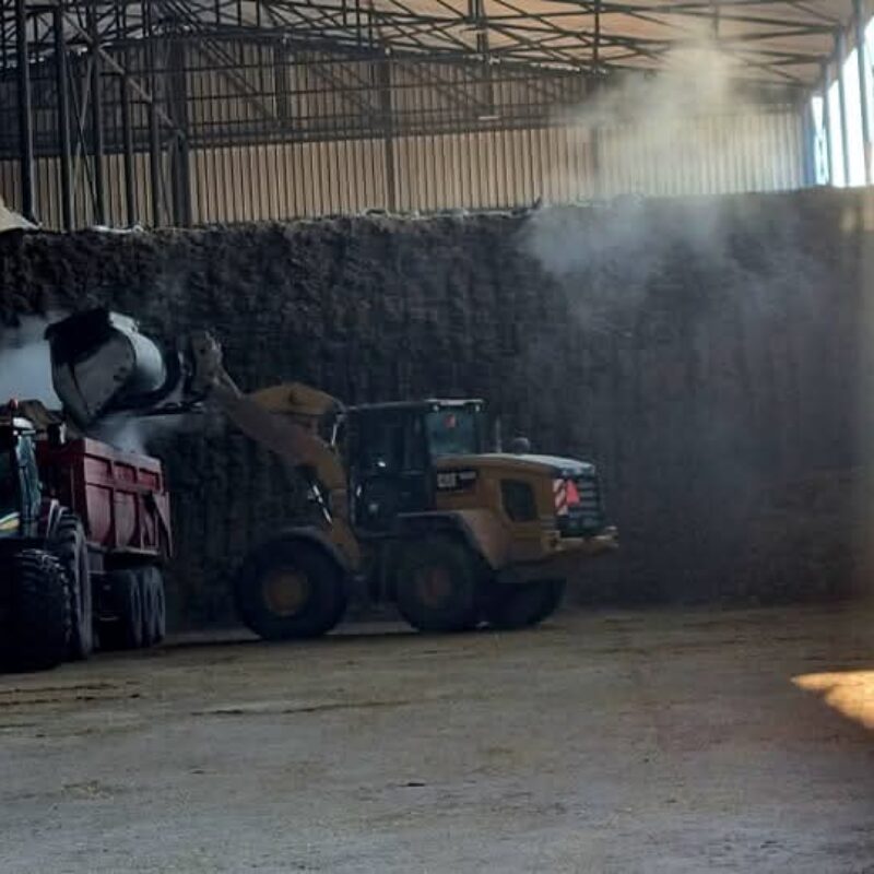 WhatsApp Image 2026-04-08 at 08.53.36 (1)