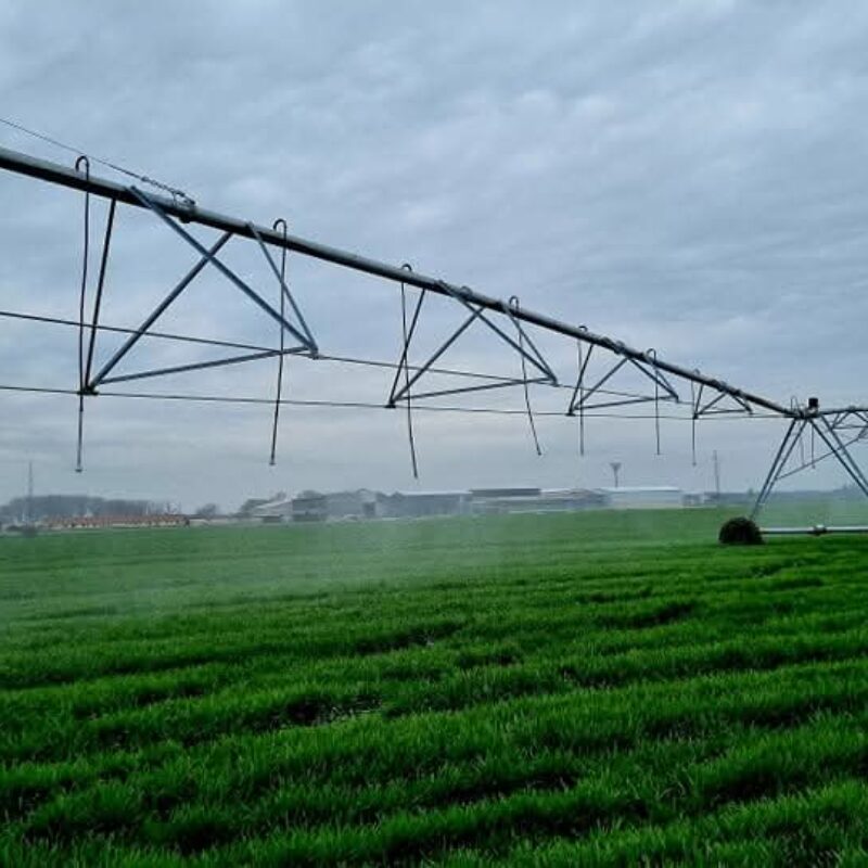 WhatsApp Image 2026-04-08 at 08.53.36