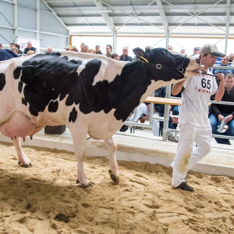 WhatsApp Image 2026-04-08 at 08.53.37 (3)