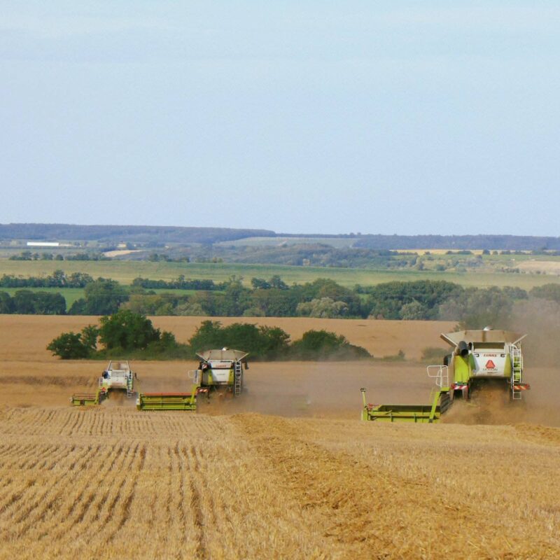 WhatsApp Image 2026-04-08 at 08.53.39 (2)