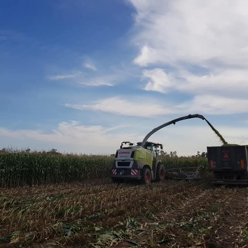 WhatsApp Image 2026-04-08 at 08.53.39 (5)